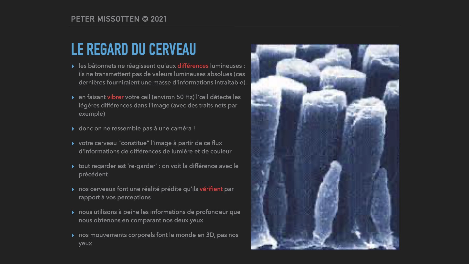 PerceptionFR.006